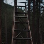 Biblical Meaning of Ladder in a Dream